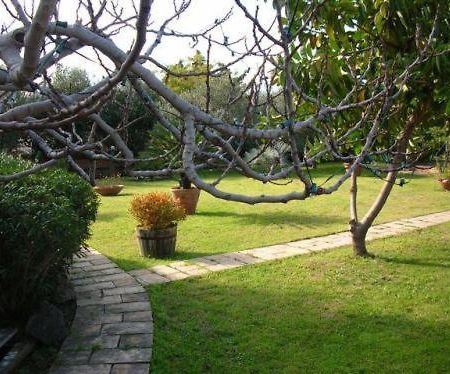 Villa Chiarenza Maison D'Hotes Giardini Naxos Exterior foto