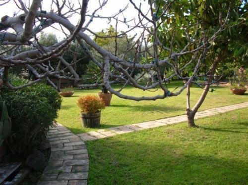 Villa Chiarenza Maison D'Hotes Giardini Naxos Exterior foto